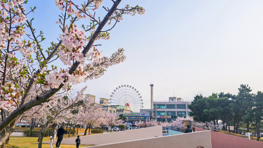 삽교호 바다공원